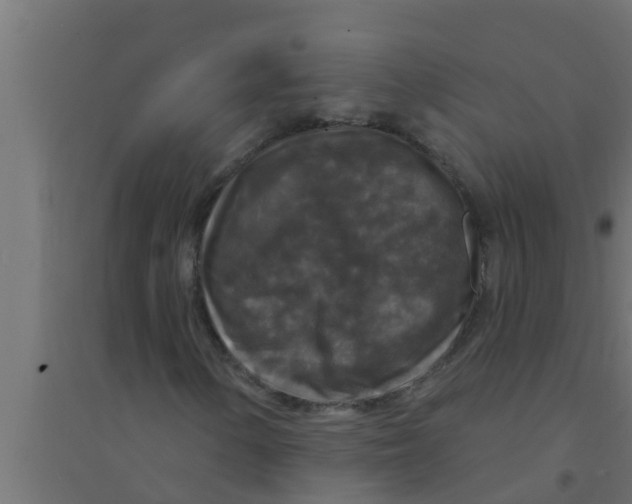 X0000094231154200711241738