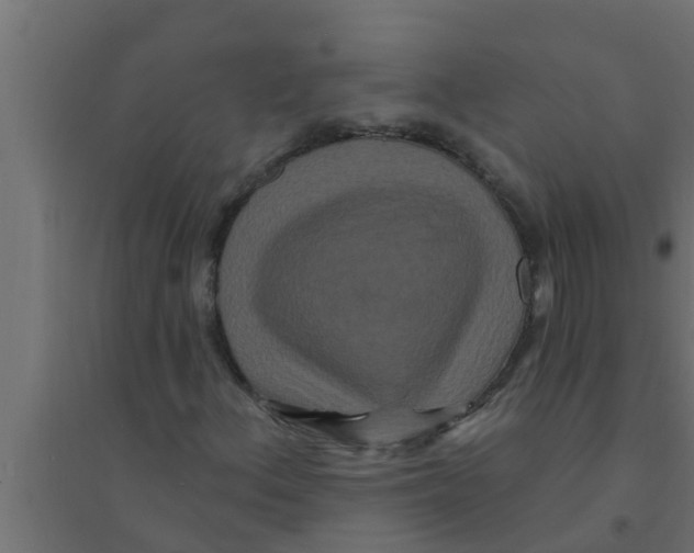 X0000094231156200711241738
