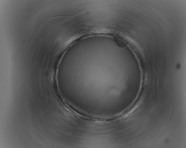 X0000094231161200711241738