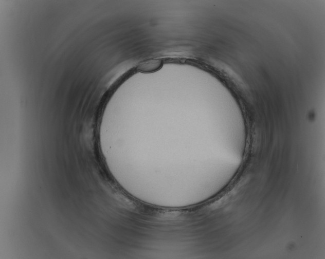 X0000094231162200711241738
