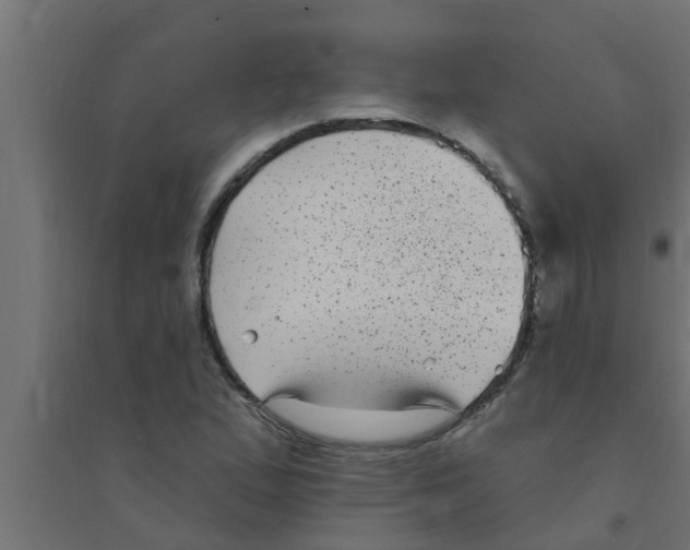 X0000094231167200711241738