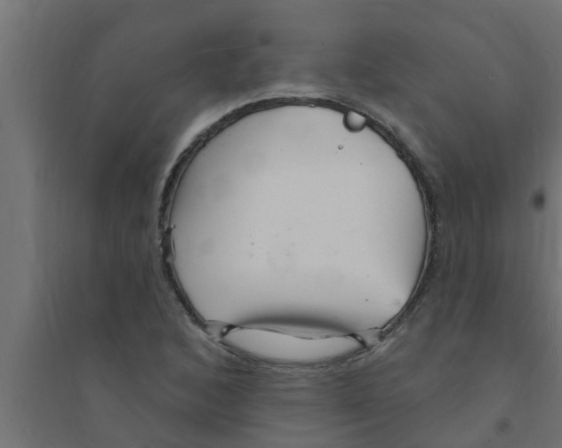 X0000094231168200711241738