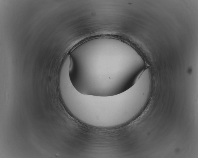 X0000094231169200711241738