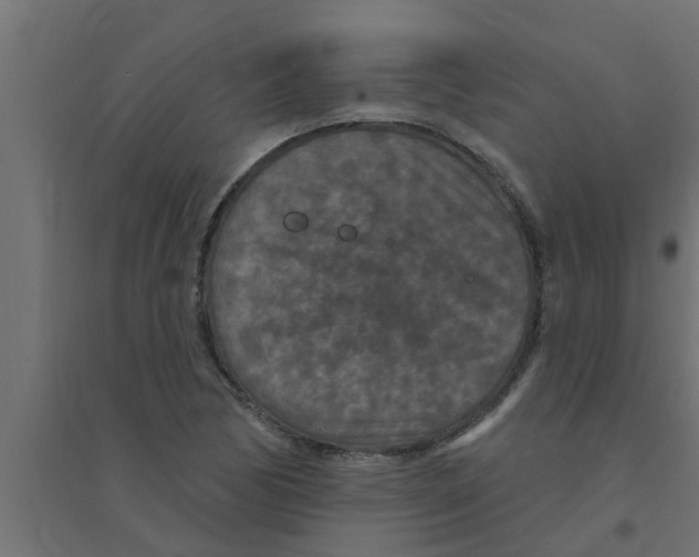 X0000094231170200711241738
