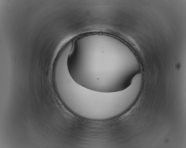 X0000094231172200711241738