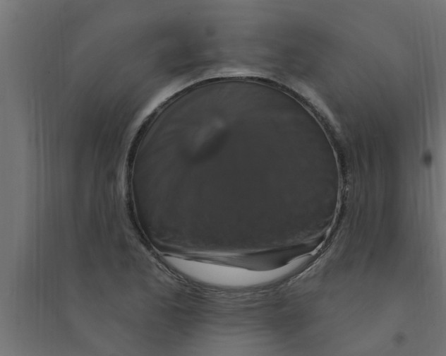 X0000094231173200711241738