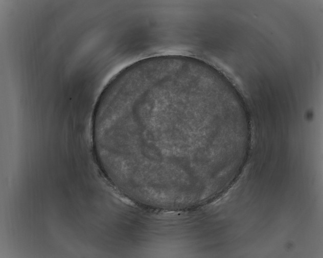 X0000094231174200711241738