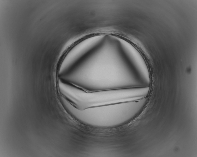 X0000094231176200711241738