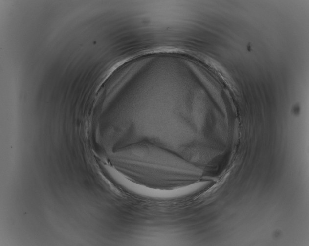 X0000094231177200711241738