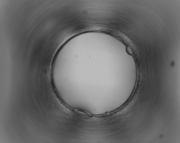 X0000094231178200711241738