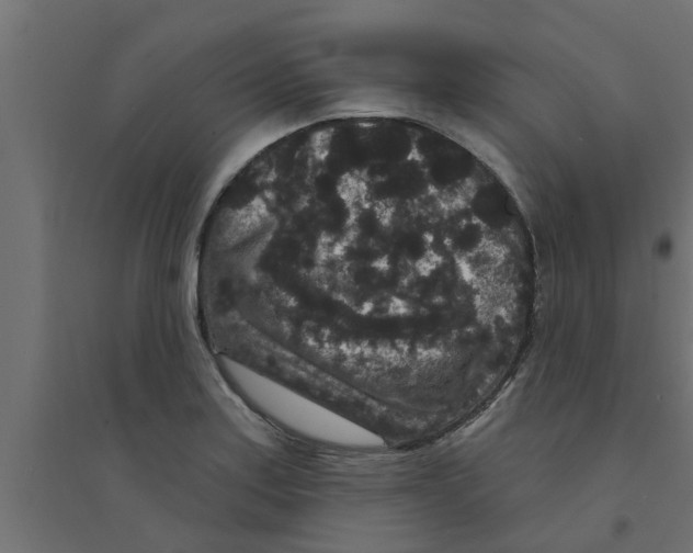 X0000094231179200711241738