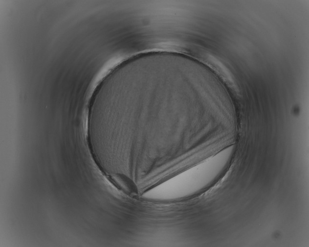 X0000094231180200711241738