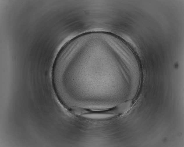 X0000094231181200711241738