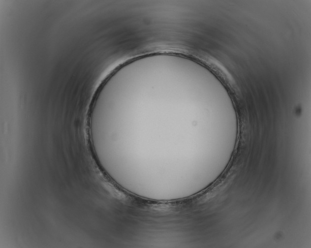 X0000094231182200711241738