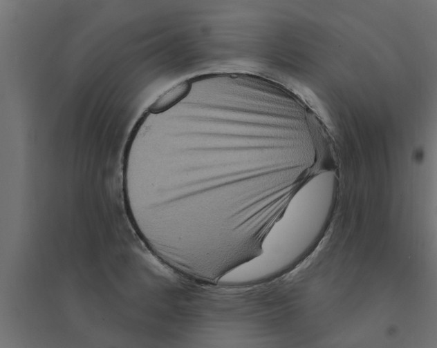 X0000094231184200711241738