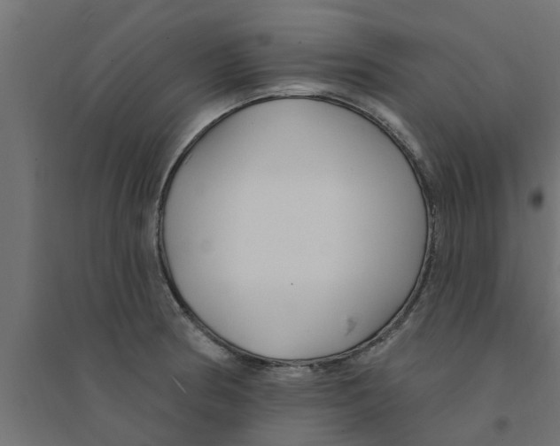 X0000094231186200711241738
