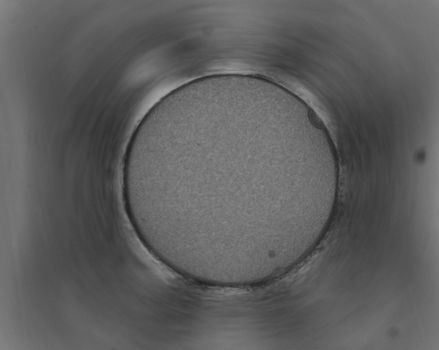 X0000094231187200711241738