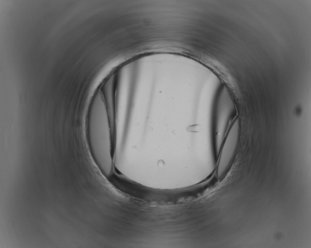 X0000094231188200711241738