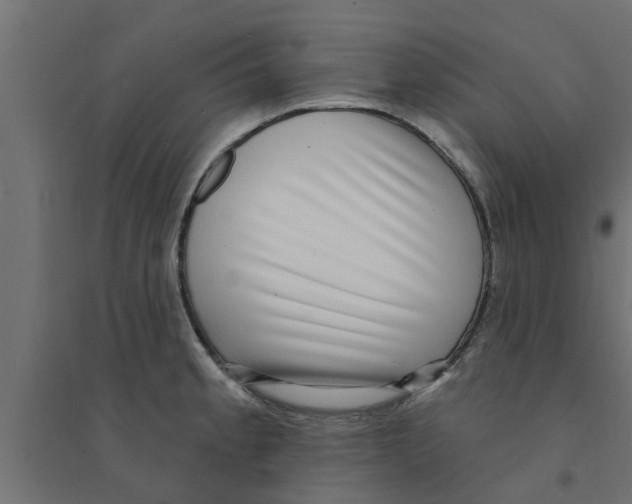 X0000094231189200711241738