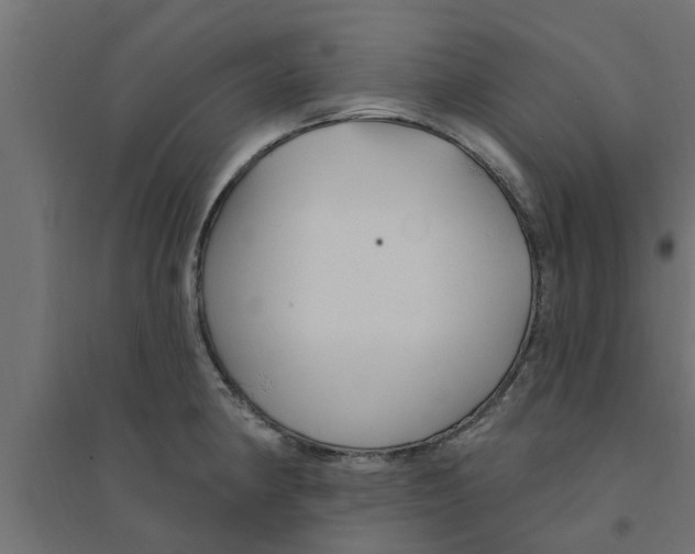 X0000094231190200711241738