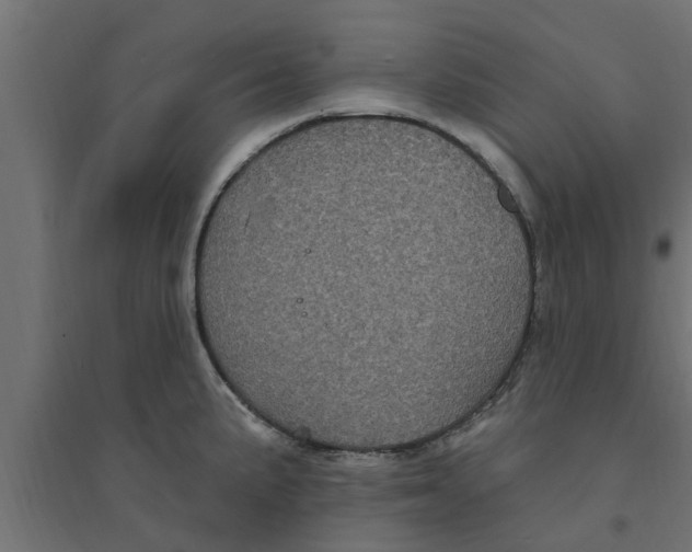 X0000094231191200711241737