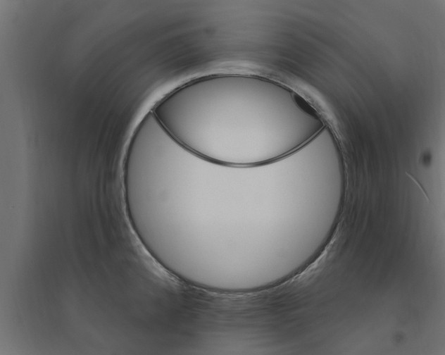 X0000094231192200711241737
