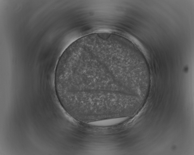 X0000094231194200711241737