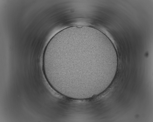 X0000094231195200711241737