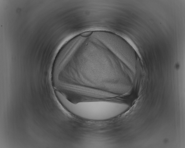 X0000094231197200711241737