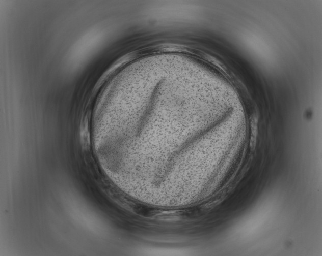X0000094231198200711241737