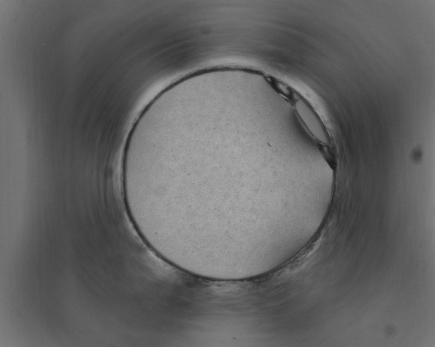 X0000094231199200711241737