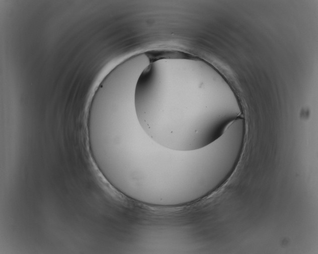 X0000094231200200711241737