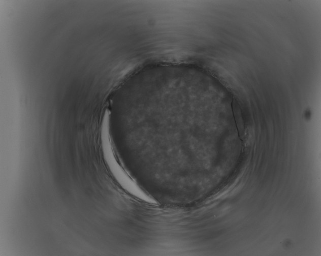 X0000094231202200711241737