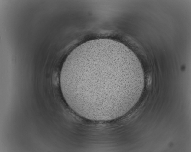 X0000094231204200711241737