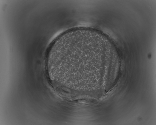 X0000094231208200711241737