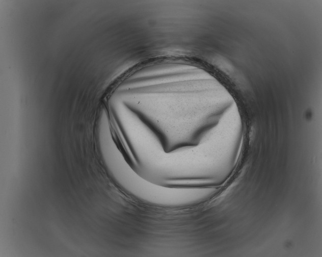 X0000094231209200711241737