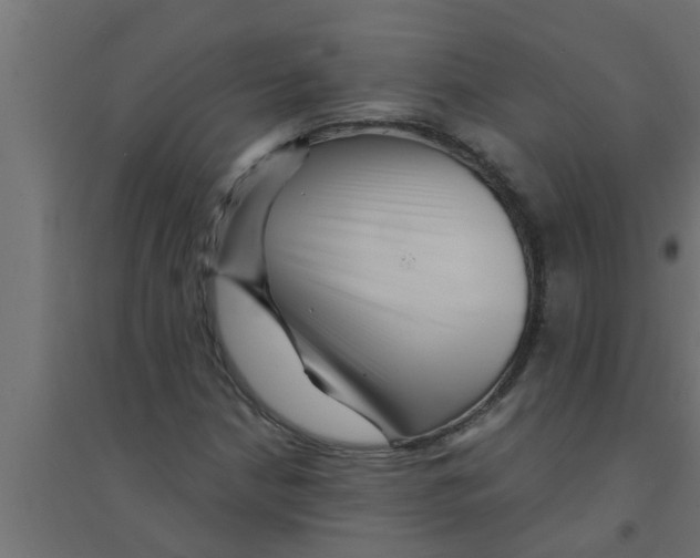 X0000094231210200711241737