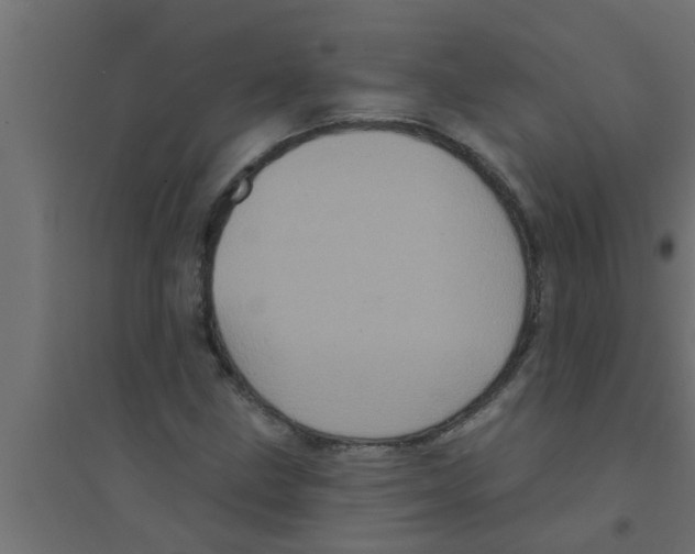 X0000094231211200711241737