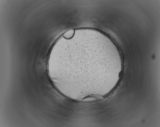 X0000094231212200711241737