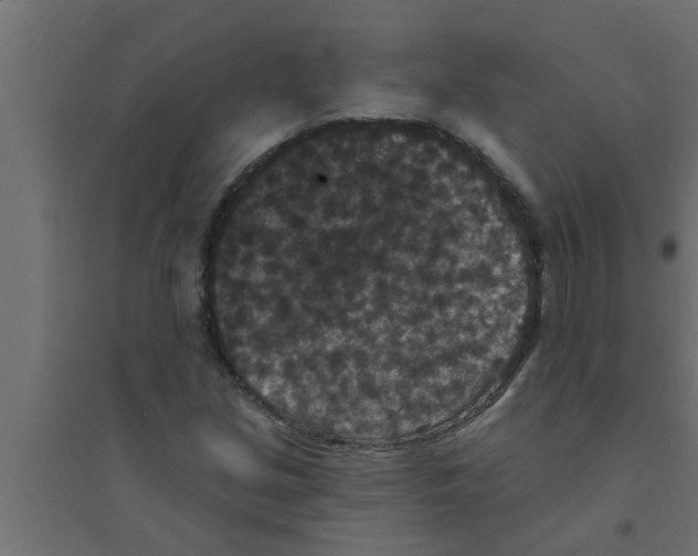 X0000094231213200711241737