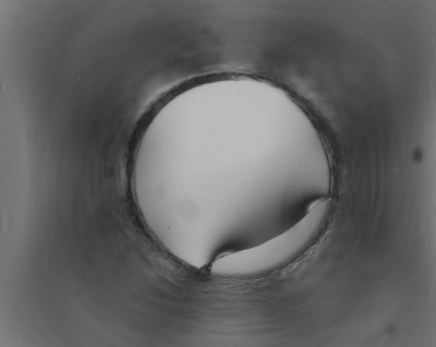 X0000094231214200711241737