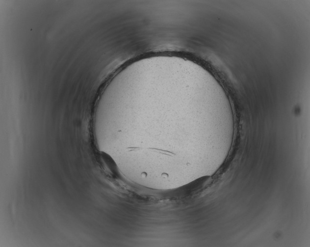 X0000094231217200711241737