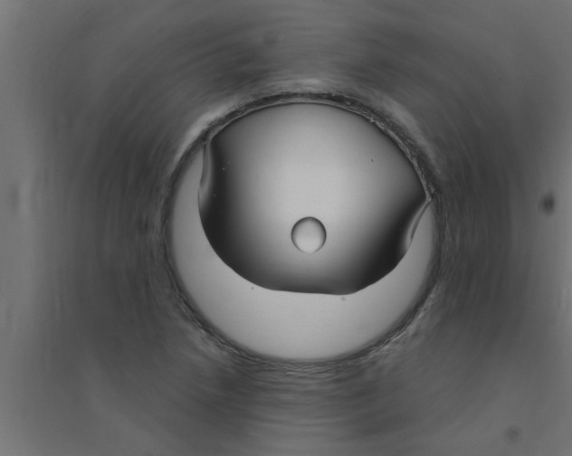 X0000094231218200711241737