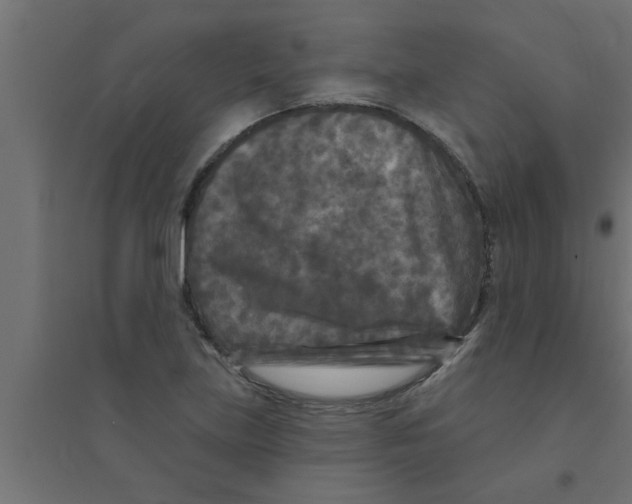 X0000094231219200711241737