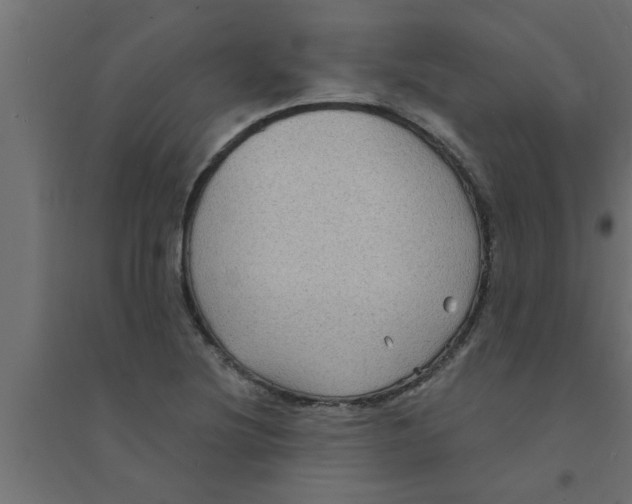 X0000094231220200711241737