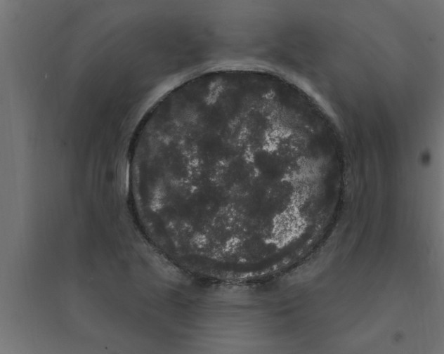 X0000094231221200711241737