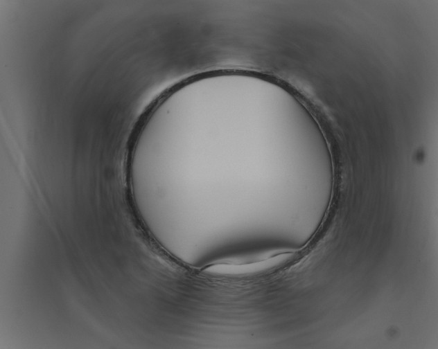 X0000094231222200711241737