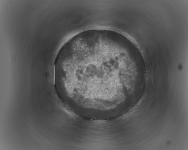 X0000094231223200711241737