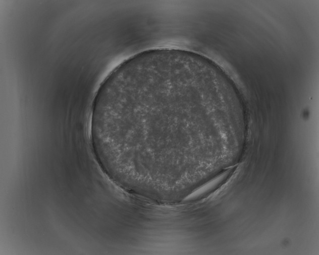 X0000094231224200711241737