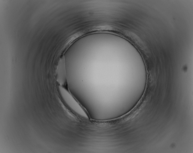 X0000094231225200711241737